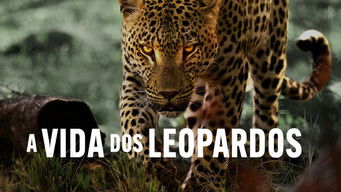 Cena de A Vida dos Leopardos