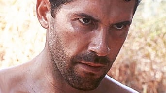 Galeria 4 - Perro salvaje