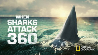 #4 When Sharks Attack 360