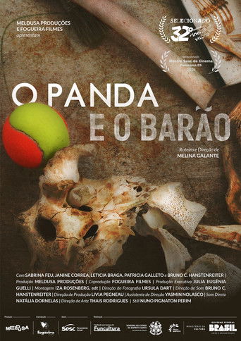 Cartell de O Panda e o Barão