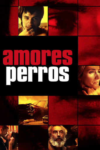 Amores perros (2000) • Cały film • Online