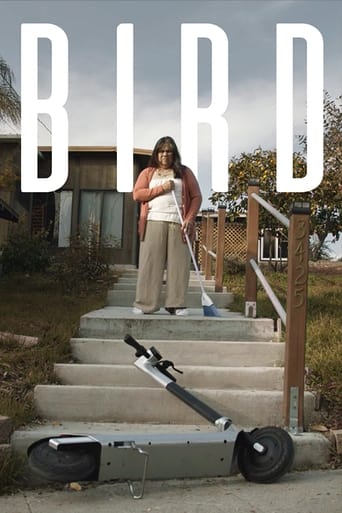 Bird poster