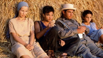 Le nombril du monde (1993)