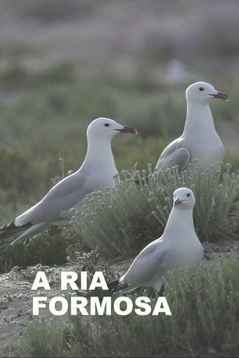 A Ria Formosa poster