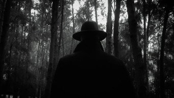 Misplaced (2022)