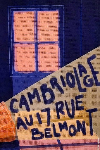 Cambriolage au 17 rue Belmont