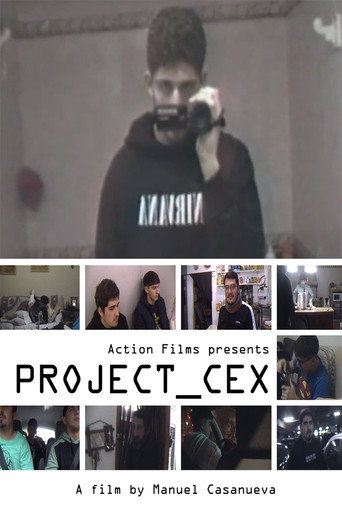 Project_CEX (2025)