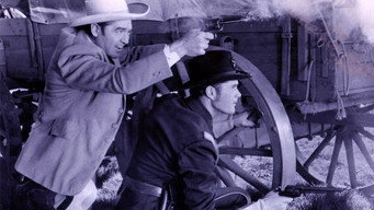 #5 Quantrill's Raiders