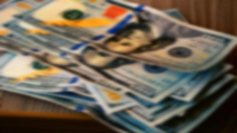 Cinereous Money (2022)
