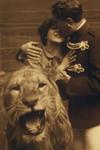 Love Amongst the Lions poster