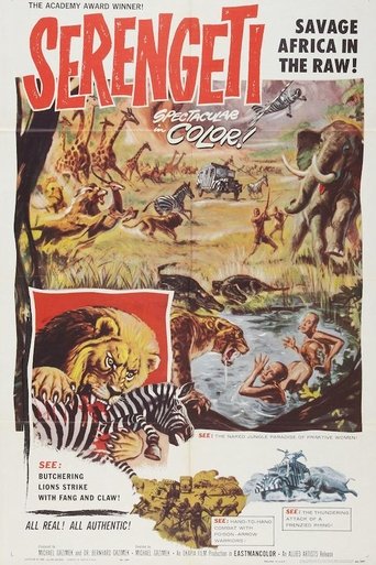 Poster of Serengeti darf nicht sterben