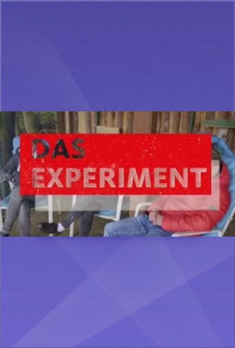 Das Experiment