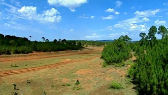 Episode 9 — Episode 9