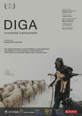 Diga poster
