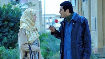 #9 Cairo 6,7,8
