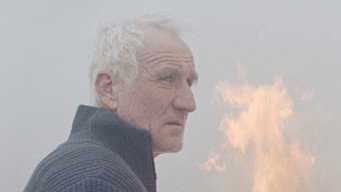 Край очерету (2025)