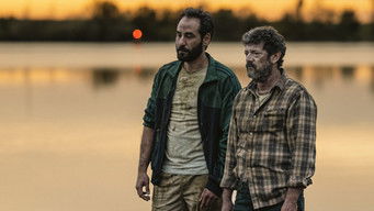 Galeria 1 - El cielo de los animales