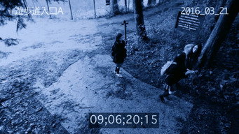 #3 Ліс самогубців: відео