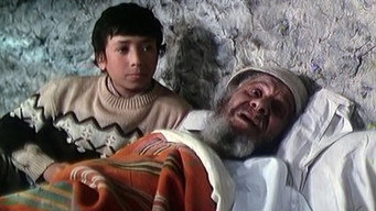 #15 Cry of Stone