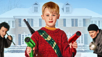 Home Alone backdrop 2