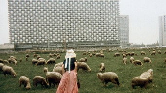 Liebe, so schön wie Liebe (1972)