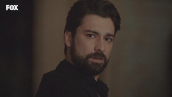 Episode 7 — Episode 7