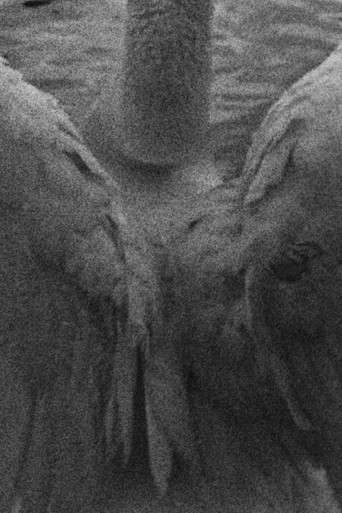 Cartell de Durga (A Ritual)