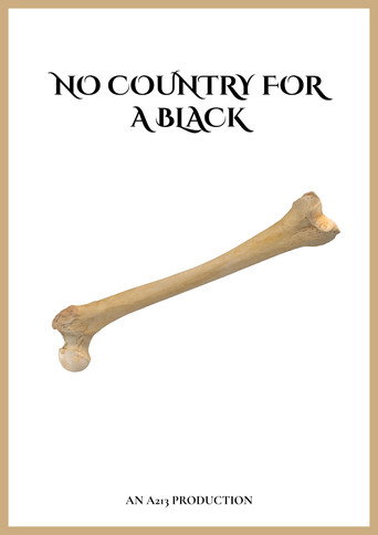 no country for a black (2024)