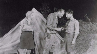 Desert Nights (1929)