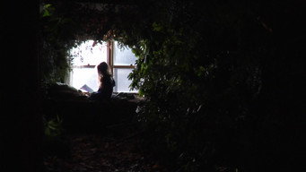 Feral media image