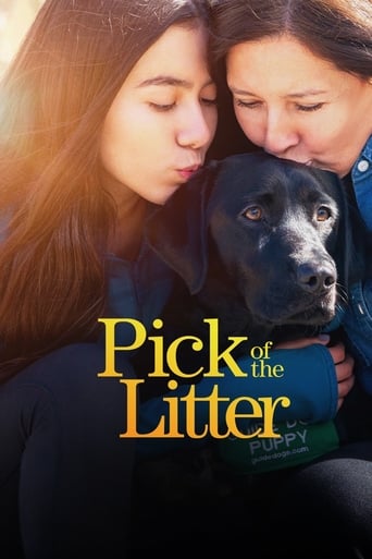 Pick of the Litter - Season 1 Episode 2   2020