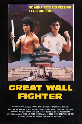 Poster för Ninja Over the Great Wall