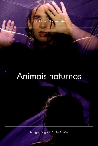 Animais Noturnos Animais Noturnos