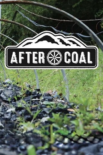 After Coal: Welsh and Appalachian Mining Communities (2016)