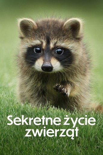 Sekretne życie zwierząt