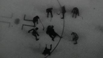 #4 Cowards Bend the Knee