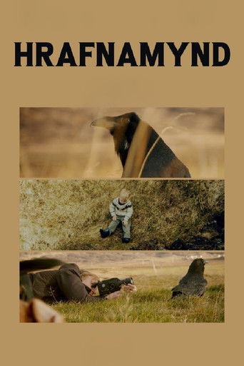 Hrafnamynd poster