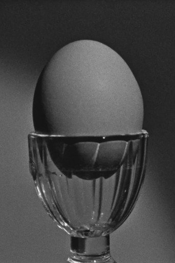 Tamago Stories One (2026)