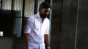 #30 Kodi