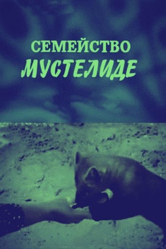 The Mustelidae Family (1975)
