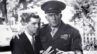 Hail the Conquering Hero (1944)