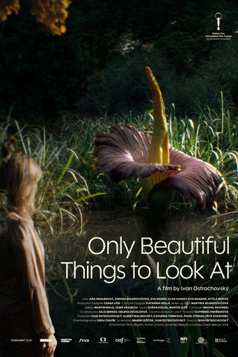 Only Beautiful Things to Look At (2026)