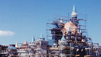 #12 Disneyland Handcrafted