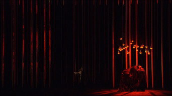 #6 Die Walküre