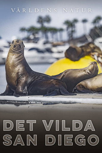 Det Vilda San Diego affisch