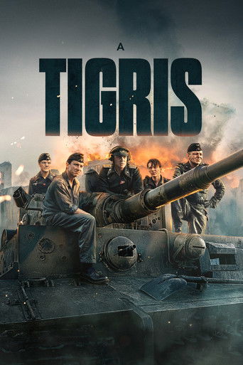 A Tigris
