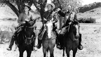 #3 The Desperadoes