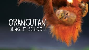 Orangutan Jungle School (2018- )