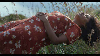 Spying Stars (2025)