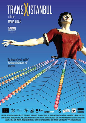 Trans X Istanbul (2014)